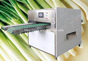 Full Automatic Green Onion Peeling and Root Cutting Machine | Onion Peeling Machine, Onion Dicing Machine, Onion Slicer