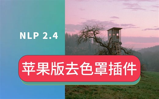 最新Mac版Negative Lab Pro 2.4.2胶片翻拍后的胶卷扫描底片调色彩色负片去色罩LR插件安装升级教程M1芯片M2芯片M3