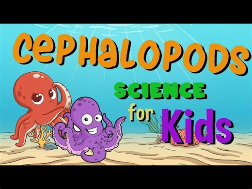 Cephalopods | Science for Kids - Videos For Kids