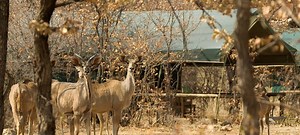Namibia self drive adventure