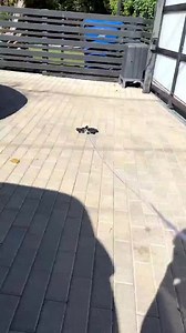 Smoke Bomb Prank On Friends Exotic Car! #Reels | coming2theville