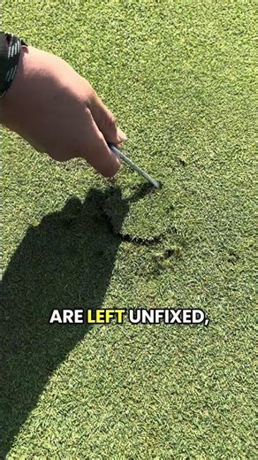 Do you fix your divots?🤔 #repair #golf #golfer #golfadvice #lawncare #golftips #shorts #diy #fix