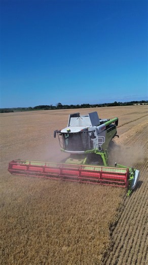 Barley Harvest 2026: Tips and Timeline for a Successful Harvest