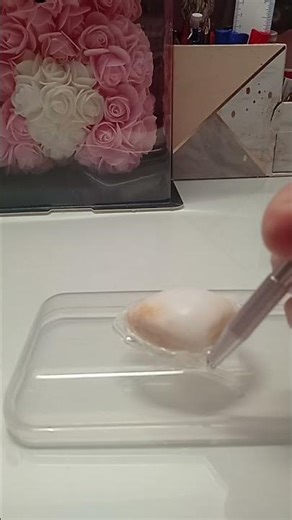 cute shell🐚 jewellery box