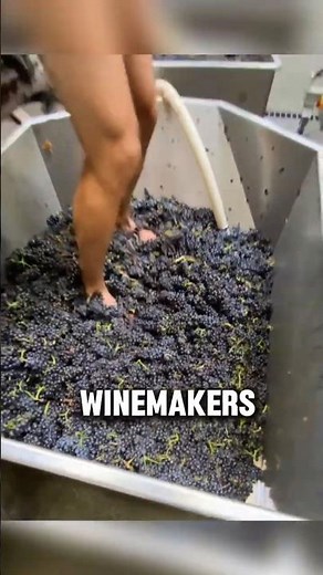 If You Ever Wondered Why Winemakers Still Crush Grapes with Their Feet, Here's the Real Reason