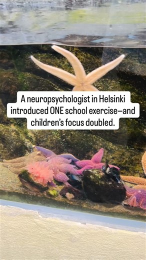 Liz Bojarski | Researcher, MPH | Holistic Health, Biohacker on Instagram: "A neuropsychologist in Helsinki discovered something unexpected: Kids don’t lose focus because they lack motivation. They lose focus because their brain never gets a clear start signal. So he introduced a 60-second routine before class. And focus doubled. Here’s what changed everything: 🟢 One fixed gaze (slightly above eye level) Movement slowed. Breathing deepened. An entire classroom shifted from chaos to calm in under