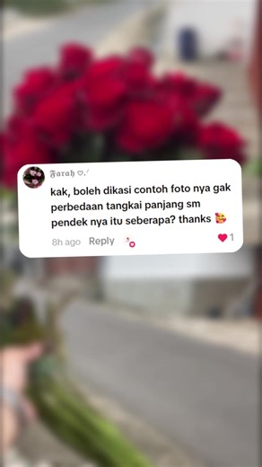 Jadi mawar tangkai panjang sama mawar tangkai pendek cuma beda penjang tangkai dan jumlah tangkai perikat ya guys😉 untuk harganya sama di 35.000 perikat yaa😍 Butuh bunga potong segar untuk dekorasi pernikahan, segala event, atau untuk buket? Rasty Florist jawabannya😉💐 Mau order? Langsung klik link di bio yaa🥰 📍Rasty Florist - Kota Batu #rastyflorist #florist #supplierbungapotong #mawar #bungamawar