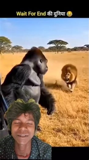 janvaron ke gajab karna mein 🤣 #funny #comedy #short #video