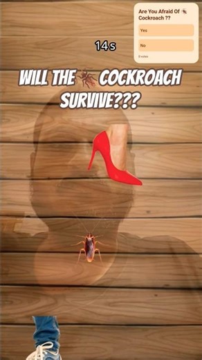 Will The 🪳Cockroach Survive❓#gameplay#cockroach#insect#interactive#filter#youtube#trending#shorts