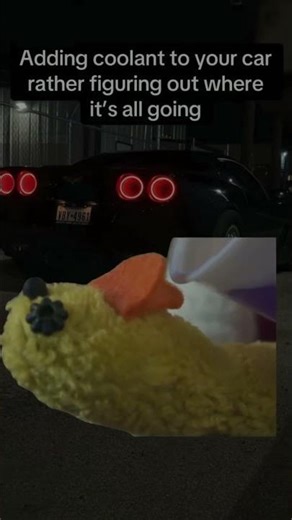 Flavour #shortvideo #funny #natezin