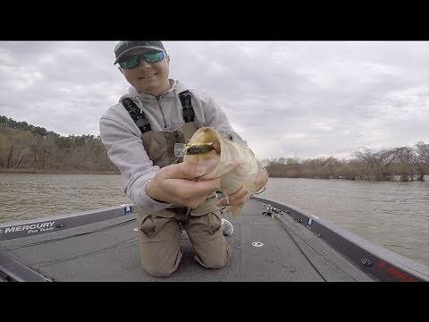 Pre-spawn fishing a flooded Nimrod Lake