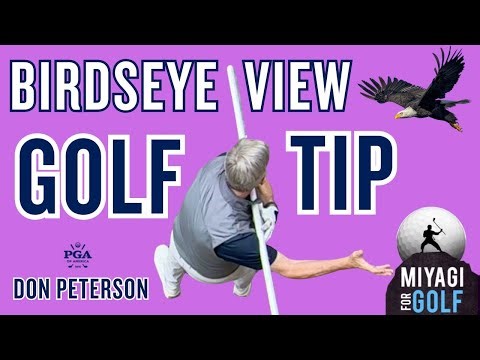 Bird’s-Eye Golf: Overhead Insights with Don Peterson #golfswing