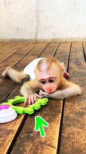 26K views · 629 reactions | In Time Of S A D, Only Green T0y Can Warm Tiny Maddox And Save Him From L0nely World | The Judy Family | Facebook