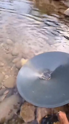 424K views · 9.8K reactions | خلي بالك من الطين لاني في دهب | Mohamed.com | Facebook