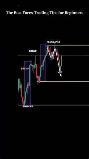 The Best Forex Trading Tips for Beginners