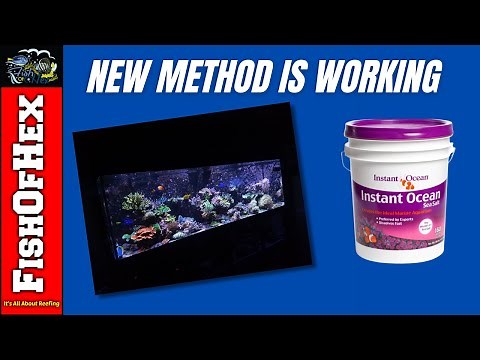 300 Gallon Reef Tank Update | 3 Months On Instant Ocean & Minimal Supplements