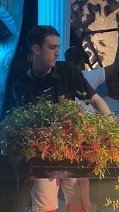 10K views · 301 reactions | M a e z b i debut in Sri Lanka  —— Spring Break Episode 2  #aftersrilanka | Aftersrilanka | Facebook