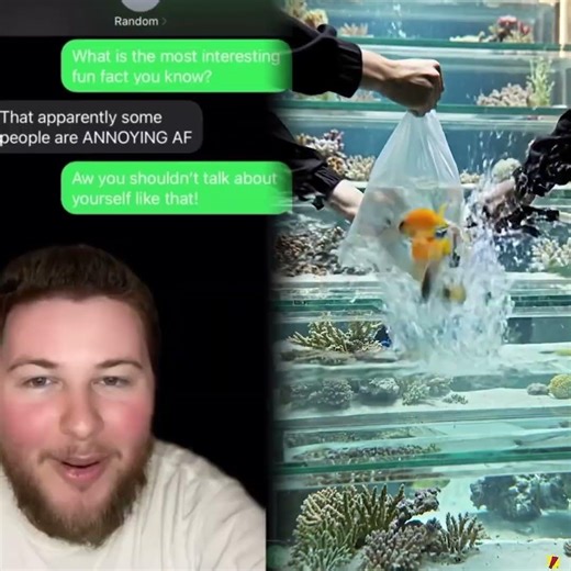 $1,000,000!!!😎 *Texting Random Numbers!* #comedy #prank #shorts