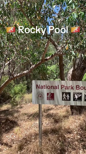 Explore Australia's Best Natural Swimming Pools at Rocky Pool