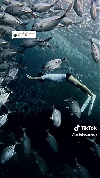 Replying to @Bndck intro part 2 @booyah_freediving