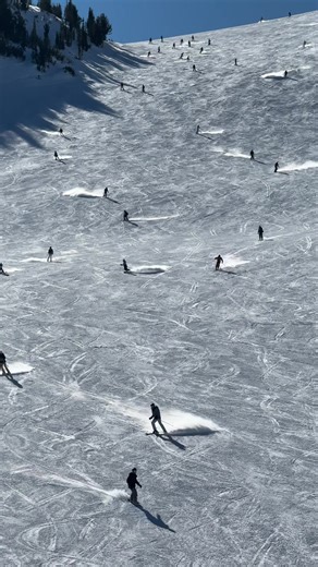 CHRISTINA KIRKMAN (@christinakirkman)’s videos with original sound - Science Channel