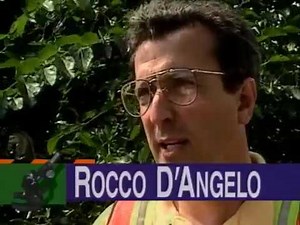 Bill Nye the Science Guy S01E14 Structures