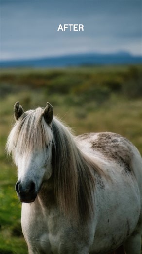 Luminar Neo by Skylum | AI-powered photo editor on Instagram: "Let’s take a closer look at how a single photo can transform through different editing stages 👇⁠ ⁠ Here are the tools we used in Luminar Neo:⁠ ⁠ 1️⃣ Stage: Develop RAW Tool⁠ 2️⃣ Stage: Color Panel⁠ 3️⃣ Stage: Mystical Tool⁠ 4️⃣ Stage: Details⁠ ⁠ Don’t forget to share it and tag us with #MadeWithLuminar to be featured in our feed and stories!"