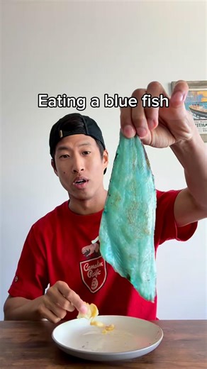 Eating a blue fish - Rock Greenling🌊💎 #catchandcook #fish #fishing #seafood #ocean