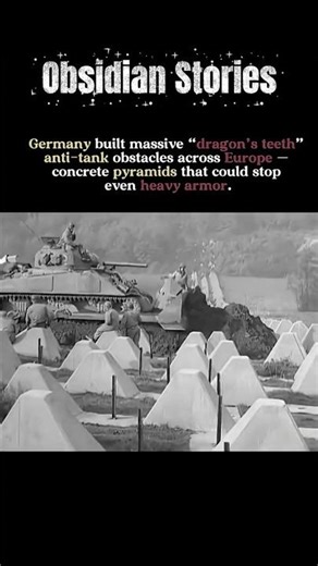 Germany’s “Dragon’s Teeth” — The Concrete Wall That Stopped Tanks
