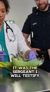 PARROT Demands "Witness Protection" to Avoid a Shot! 🦜 #reels #waitforit #parrot #funnyanimals #usa | Global Weird News