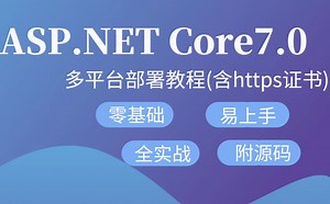 2023最新ASP.NET Core多平台部署教程(含https证书)，windows、linux、docker多环境(SSL/SqlServer)B1116