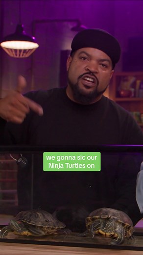 seth rogen and ice cube hang out with the deadliest animals on earth: real turtles. #TMNTMovie #MutantMayhem hits theatres August 2 - get tickets now. see it first at sneak previews in select theatres this Saturday, July 29. #NewReleases #MovieRecommendations #SethRogen #IceCube #Turtles