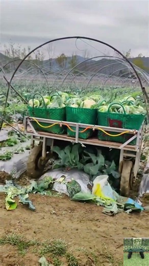 remote industrial spraying pesticides using vehicle made by Vigorun Tech