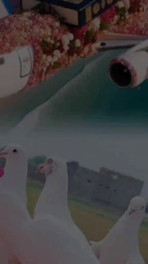 Captivating White Pigeons in Floral Tribute