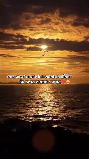 #কি অপরুপ মায়া তোমার#প্রকৃতির_সৌন্দর্য