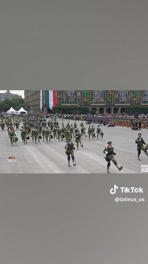 Caninos en el Desfile Cívico Militar: Adiestramiento
