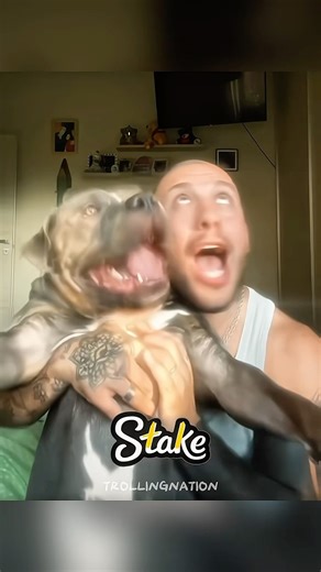 SYNCHRONIZED DOGE troll video 😈 #trollface #troll #funnyshorts #memes #unitedkingdom #trending #fyp