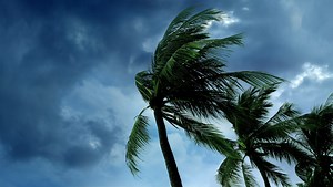 Florida prison inmates evacuated ahead of Hurricane Irma