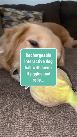 Interactive Toy for Energetic Dogs