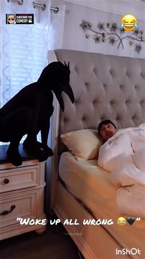 Epic Kids Fails & Hilarious Reactions 😂💥