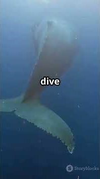 Amazing Sperm Whale Facts #SpermWhale #WildlifeFacts #OceanLife #MarineAnimals #YouTubeShorts