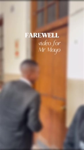 Once a Sea Pointer…