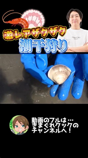 激レアザクザク潮干狩り