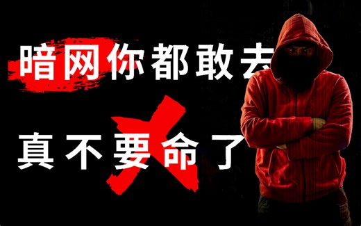 暗网为什么不建议访问？视频中含有信息安全/渗透测试/网络安全/黑客攻防/内网渗透/漏洞挖掘教程！