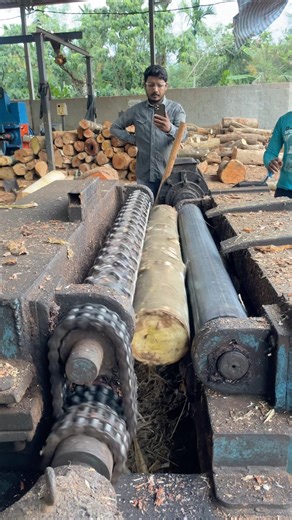 Wooden tree peeling furniture 🪵👍|#peeling #shortsfeed #shorts