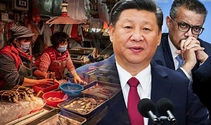 Wet markets: Expert calls for WHO to ban trading