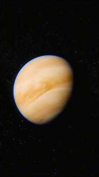 this is why the moon is so important #astronomy #earth