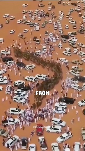 "Dubai's Camel Racing Revolution: Robots as Jockeys" #CamelRacing #DubaiInnovation #RobotJockeys #CamelRacing2025 #TechInSports | Satisfying Videos