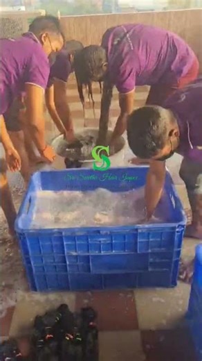Indian Raw Hair Washing & Cleaning Process | Human Hair Factory Chennai | Before Production