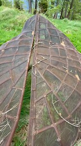 722 reactions · 74 shares | Another interesting construction discovered in the Swiss Alps. 樂 #history #simply_adventure #military #worldwar #historisch #ww2 #historical #ww2stories #ww2relics #ww2pictures #bunker #abandoned #decay #schweiz #hiking #mountain #swiss | Christian Böhm | Facebook